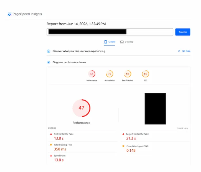 Actual unedited Google PageSpeed Insights screenshot for traditional law firm website showing poor metrics